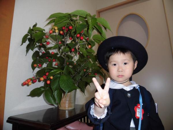 さくらんぼの季節です☆1